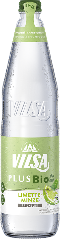 Vilsa Plus Bio Limette-Minze 12x0,7 Ltr. Glasflaschen MEHRWEG